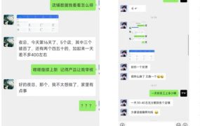 薅流虚拟2.0陪跑课，0成本AI流程化操作，淘宝+闲鱼同步玩法，上一次货两个平台有收益，单店每天200纯利润
