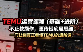 TEMU运营课程(基础+进阶)，不止教操作，更传授底层思维，一门让你真正看懂TEMU的进阶课
