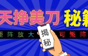 全自动量子纠缠量化项目，每天挣美刀，可矩阵放大！