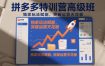 拼多多特训营高阶班，独家玩法赋能，突破运营天花板(更新26年6月05日)