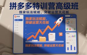 拼多多特训营高阶班，独家玩法赋能，突破运营天花板(更新26年6月05日)