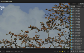 PotPlayer v1.7.22569绿色版