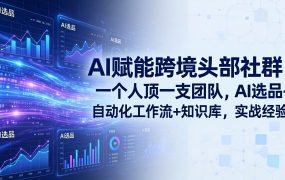 AI赋能跨境头部社群-更新6月：一个人顶一支团队，AI选品+自动化工作流+知识库，实战经验