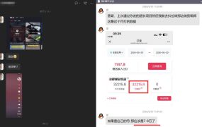 团长蓝海合作3.0，每周爆款模板+合作共赢项目