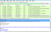 Wireshark v4.6.4绿色便携版