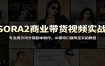 SORA2商业带货视频实战：专业提示词分镜剧本制作，AI模特口播珠宝实拍教程