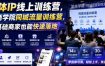 实体IP线上训练营，某商学院同城流量训练营，零基础商家也能快速落地