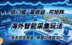 海外智能采集玩法，低门槛高单价可矩阵，当天可见收益，单窗口30+