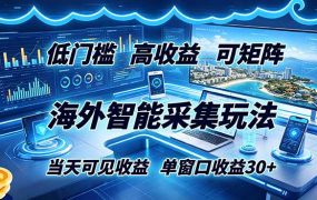 海外智能采集玩法，低门槛高单价可矩阵，当天可见收益，单窗口30+