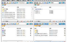 Q-Dir多窗口文件管理器v12.25
