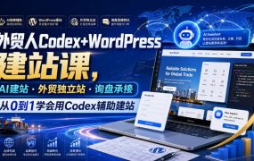 外贸人Codex+WordPress建站课,AI建站·外贸独立站·询盘承接,从0到1学会用Codex辅助建站