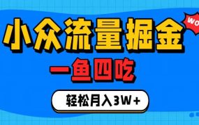 抓住单身经济风口！小众流量一鱼四吃，普通人也能月入3W+【揭秘】