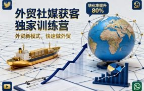 外贸社媒获客独家训练营，外贸新模式，快速做外贸(更新26年6月)