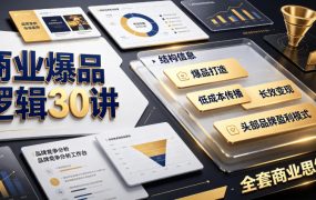 商业爆品逻辑30讲｜拆解各行各业头部品牌盈利模式，吃透爆品打造、低成本传播、长效变现全套商业思维课