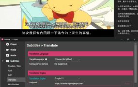 AI字幕生成播放器 LLPlayer v0.2.2