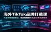海外TikTok品牌打造课：利基市场选品验证，爆款短视频AI内容付费投放教学