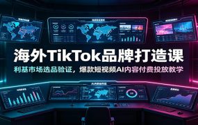 海外TikTok品牌打造课：利基市场选品验证，爆款短视频AI内容付费投放教学