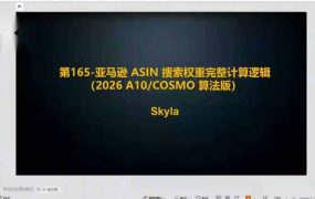 亚马逊跨境实战课-更新：全品类选品逻辑｜SP/SB/SD广告精细化｜新品打爆旺季爆单全套运营教程