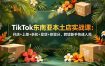 TikTok东南亚本土店实战课：开店+上架+折扣+发货+体验分，跨境新手快速入局