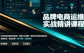 品牌电商运维实战精讲课程｜吃透电商品牌落地逻辑、穿越行业周期、搭建长效变现运营体系
