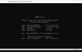Neovim文本编辑器v0.12.0绿色版