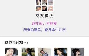 12月最新付费进群系统