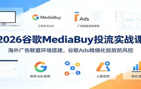 2026谷歌MediaBuy投流实战课：海外广告联盟环境搭建，谷歌Ads精细化投放防风控