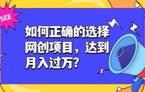 如何正确的选择网创项目，达到月入过万？，本课程教你正确选择项目。