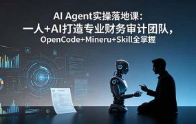 AI Agent实操落地课：一人+AI打造专业财务审计团队，OpenCode+Mineru+Skill全掌握