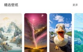 91熊猫桌面主题v1.0.5高级版