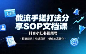 截流手搓打法分享SOP文档课,抖音小红书视频号丨精准截流,快速获客,低成本高转化