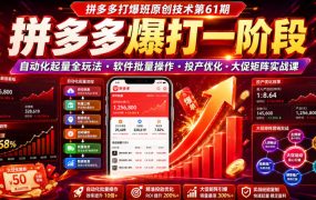 拼多多打爆班原创技术第61期,拼多多爆打一阶段,自动化起量全玩法・软件批量操作・投产优化・大促矩阵实战课