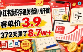 小红书卖识字通关检测(电子版),客单价3.9,372天卖了8.7w+