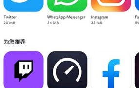Google Play Store 谷歌商店47.8.19-29