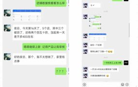 薅流虚拟2.0陪跑课：选一次品淘宝闲鱼同步卖，日入100-200纯利，0成本AI流程化操作