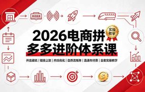2026电商拼多多进阶体系课，开店避坑，链接上架，内功优化，自然流矩阵｜直通车付费｜全套实操教学