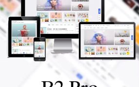 最新版7B2 PRO主题5.4.2 免授权开心版源码