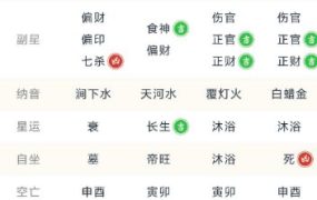 周易八字排盘测算1.1.4高级版