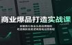 商业爆品打造实战课：拆解各行各业头部品牌案例，吃透爆款底层逻辑落地运营教程