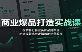 商业爆品打造实战课：拆解各行各业头部品牌案例，吃透爆款底层逻辑落地运营教程