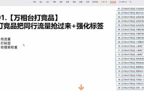 老火电商03期万相台截流课:竞品多渠道筛选|多计划测试递增|全站联动拉新收割全套实操教学