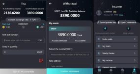 2024 新版H5打包版双语言虚拟系统 USDT支付