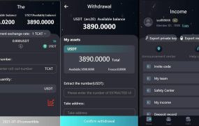 2024 新版H5打包版双语言虚拟系统 USDT支付