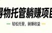 26年6月必做！得物视频激励项目，全自动运营单号月利润3600+
