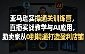 亚马逊实操通关训练营，直播实战教学与AI应用，助卖家从0到精通打造盈利店铺(更新6月18日)