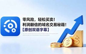 零风险，轻松买卖！利润翻倍的域名交易秘籍！【原创双语字幕】