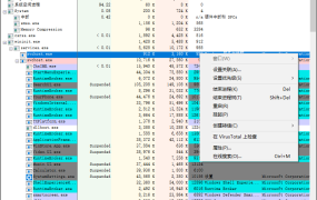 Process Explorer v17.12汉化版
