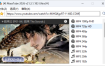 YouTube视频批量下载MassTube v21.5.3.196绿色版