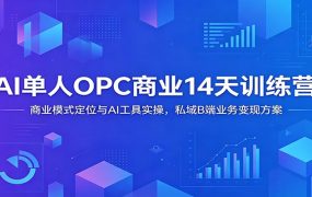 AI单人OPC商业14天训练营：商业模式定位与AI工具实操，私域B端业务变现方案