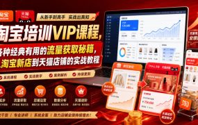 淘宝培训VIP课程，各种经典有用的流量获取秘籍，从淘宝新店到天猫店铺的实战教程(更新7月29日)